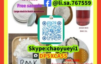 Bmk powder cas:5449-12-7