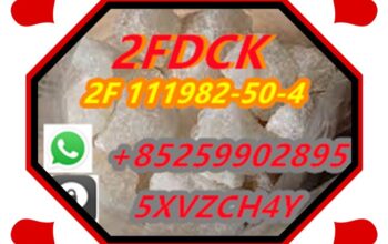 with100% Safe Delivery 2F-dck 2fdck 2-fdck cas 111