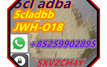 with100% Safe Delivery 2F-dck 2fdck 2-fdck cas 111