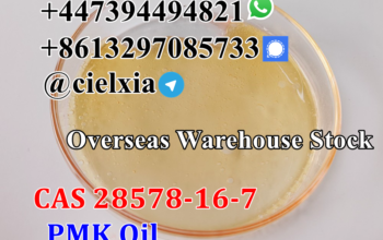 High Yield CAS 28578-16-7 PMK glycidate PMK powder