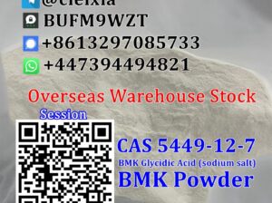 CAS 5449-12-7 BMK Powder BMK Glycidic Acid (sodium