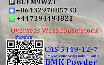 CAS 5449-12-7 BMK Powder BMK Glycidic Acid (sodium