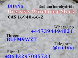 BH4Na Sodium borohydride CAS 16940-66-2