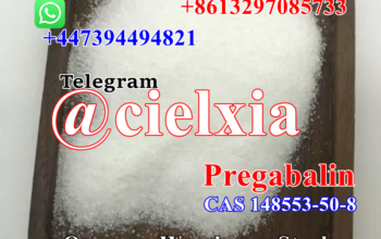 Pregabalin lyrica powder CAS 148553-50-8 best qual