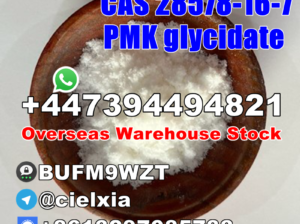 CAS 28578-16-7 PMK glycidate PMK powder/oil