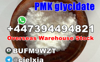 CAS 28578-16-7 PMK glycidate PMK powder/oil