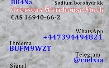BH4Na Sodium borohydride CAS 16940-66-2
