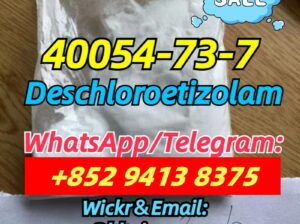 40054-73-7,good quality and good price,Deschloroet