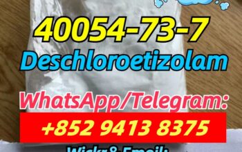40054-73-7,good quality and good price,Deschloroet