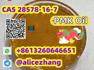Best sell Experienced supplier CAS 28578-16-7 PMK