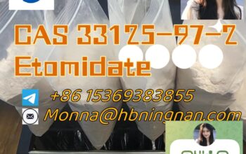 cas 33125-97-2 Etomidate