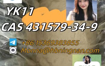 YK11 CAS 431579-34-9