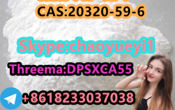 BMK Powder 5413-05-8 Safe Delivery Fast Clearance