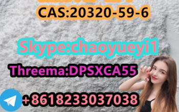 BMK Powder 5413-05-8 Safe Delivery Fast Clearance