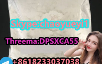 BMK Powder 5413-05-8 Safe Delivery Fast Clearance