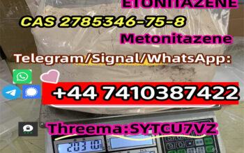 CAS 2785346-75-8 ETONITAZENE Telegarm/Signa