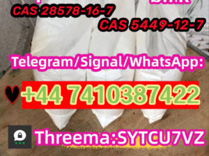 Factory sales CAS 28578-16-7 52190-28-0 PMK ethyl