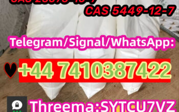 Factory sales CAS 28578-16-7 52190-28-0 PMK ethyl