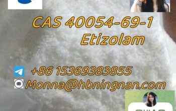 cas 40054-69-1 Etizolam