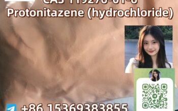 CAS 119276-01-6 Protonitazene (hydrochloride)