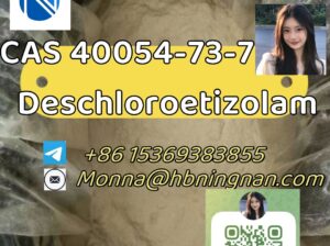 cas 40054-73-7 Deschloroetizolam