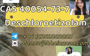 cas 40054-73-7 Deschloroetizolam