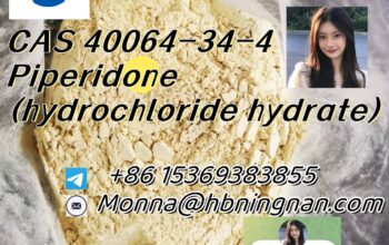 cas 40064-34-4 Piperidone (hydrochloride hydr