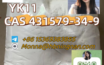 YK11 cas 431579-34-9