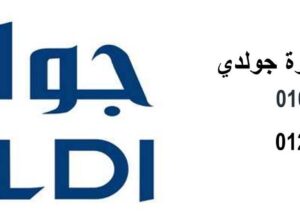 عناون شركة صيانة جولدي فرع المنيل 01220261030