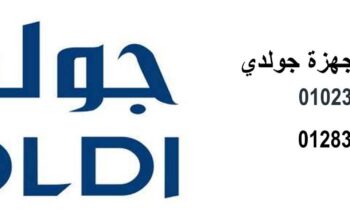 عناون شركة صيانة جولدي فرع المنيل 01220261030