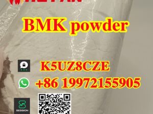 CAS 5449-12-7 BMK powder supplier high purity