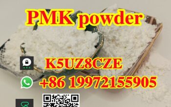 CAS 28578–16–7 PMK ethyl glycidate powder to oil