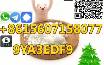 CAS 80532-66-7 Professional Supplier 99% purity