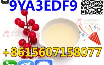 Professional Manufacture CAS 49851-31-2-