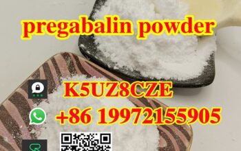 Hot sell pregabalin powder cas 148553-50-8 80mesh