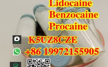 80mesh 99% Purity Benzocaine Powder