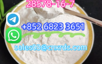 powder for salePMK CAS: 28578-16-7