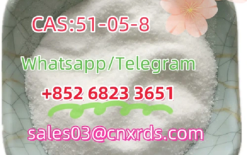 High quality hot selling 51-05-8