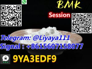 Factorty direct sale CAS 5449-12-7 BMK powder/oil