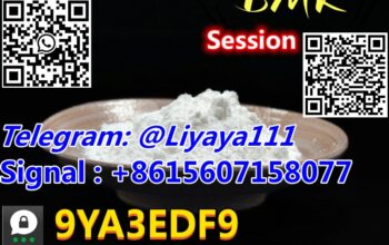 Factorty direct sale CAS 5449-12-7 BMK powder/oil