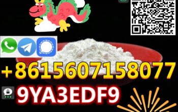 Best-sale CAS 1451-82-7 2B4M