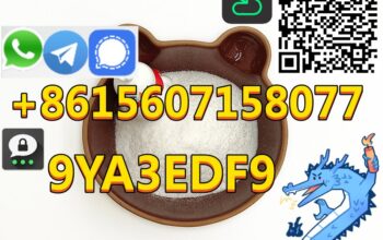 CAS 4579-64-0 Well-sold High Quality Best Price