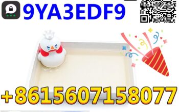 Best-sale CAS 49851-31-2