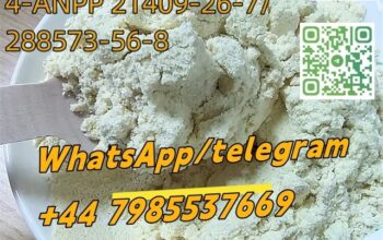 CAS 79099-07-3/4-ANPP 21409-26-7/288573-56-8