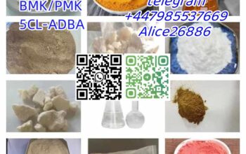 BMK/PMK CAS 28578-16-7/20320-59-6/5413-05-8/13605