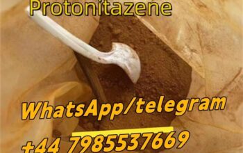 CAS 119276-01-6 Protonitazene (hydrochloride)