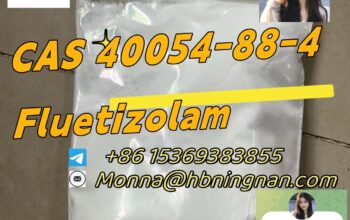cas 40054-88-4 Fluetizolam