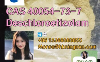 cas 40054-73-7 Deschloroetizolam