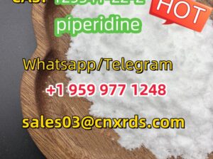 Hot sale piperidine CAS:125541-22-2