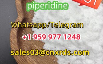 Hot sale piperidine CAS:125541-22-2